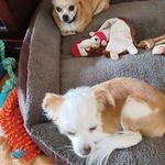 Patsy Gaskin - @gaskinpatsy - Instagram