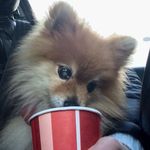 PatsyGay - @patsygay97 - Instagram