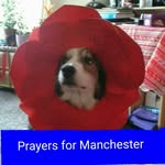 Pat Griffiths - @patsygee1 - Instagram