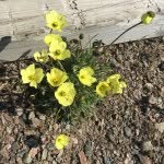 Patsy Gardner - @patsy_gee - Instagram