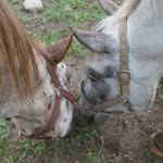 Patsy Gee - @patsy.gee.5 - Instagram