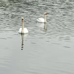 Patsy - @geenspatsy - Instagram