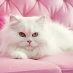 Patsy S Gee - @patsysgee - Instagram