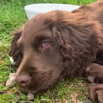 Patsygee - @patsyambergee - Instagram