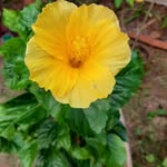 Patsy Gerbert - @patsygerbert - Instagram