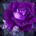 Patsy Giles - Facebook