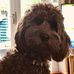 Patsy Gill - Facebook