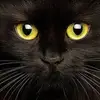 patsygilleywatson - @patsy.gilley.wats - TikTok