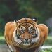 Patsy M. Gilliam - Facebook