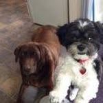 Patsy Gillis - @patsygillis - Instagram