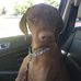 Patty Girten - Facebook