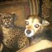 Patty Goad - Facebook