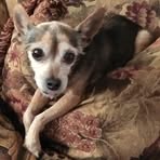 Patty Goad - Facebook