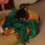 Patsy Emens - @patsy_grace_emens - Instagram