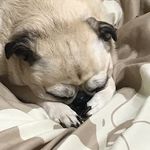 Patty Grace - @patty.grace.7 - Instagram