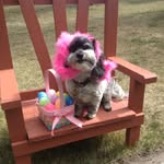 Patricia Graves - @patsygraves1949 - Instagram