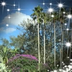 Patsy Gregory - @patsygregory67 - Instagram