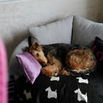 Patsy Gregory - @mooplet_57 - Instagram