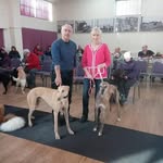 Patricia Whyers - @patsy_greyhound_lover - Instagram