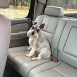 Patsy Griffith - @griffith.patsy - Instagram