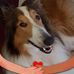 Patty Grimes - Facebook
