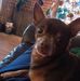 Patsy Guidry - Facebook