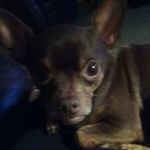Patsy Guidry - @patsyguidry - Instagram