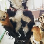 Patsy Guthrie - @busesricson - Instagram