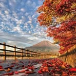 Patsy Guzmán - Facebook