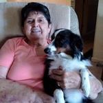 Patsy Hamlin - @patsyjoh - Instagram