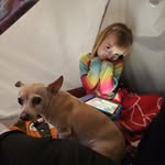 Patsy Hammons-Stegemann - @stegsplace - Instagram