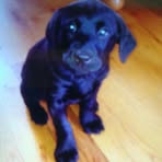 Patsy Hanna - Facebook