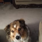 Patty Hanson - Facebook