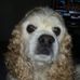 Patsy Harper - Facebook