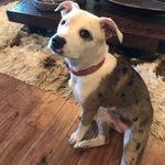 Patsy Garmon Harrell (Pat) - @patharrell - Instagram