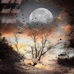 Patsy Harrell - @patsylharrell - Instagram