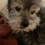 Patsy Harrell - Facebook