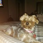 Patty Hartmann - Facebook