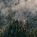 Patsy Hatch - @dessertdraconian - Instagram