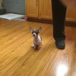 Patty Hebert - @pattyhebert58 - Instagram