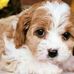 Patsy Hemphill - Facebook