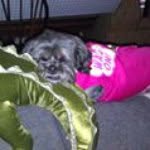 Patsy Herrera - @patsyjherrera - Instagram