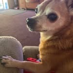 Patty Hess Livingston - @pattyhesslivingston - Instagram