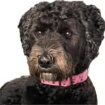 Patsy Hicks - @patsysmutzer - Instagram