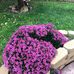 Patsy Hightower - Facebook