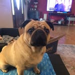 Patsy Hill - @patsyhill135 - Instagram