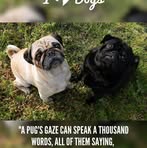 Patsy Hill - Facebook