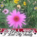 Patsy Hill - @patsy.hill.714 - Instagram