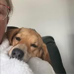Patsy Hill Larsen - @patsylarsen8 - Instagram