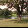Patsy Hillman Park - @patsy.hillman.par - TikTok